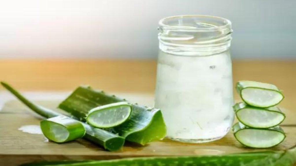 Aloe Vera home remedy for hair loss and thickness