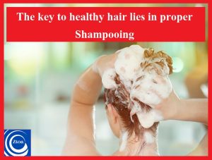 The key to healthy hair lies in proper shampooing